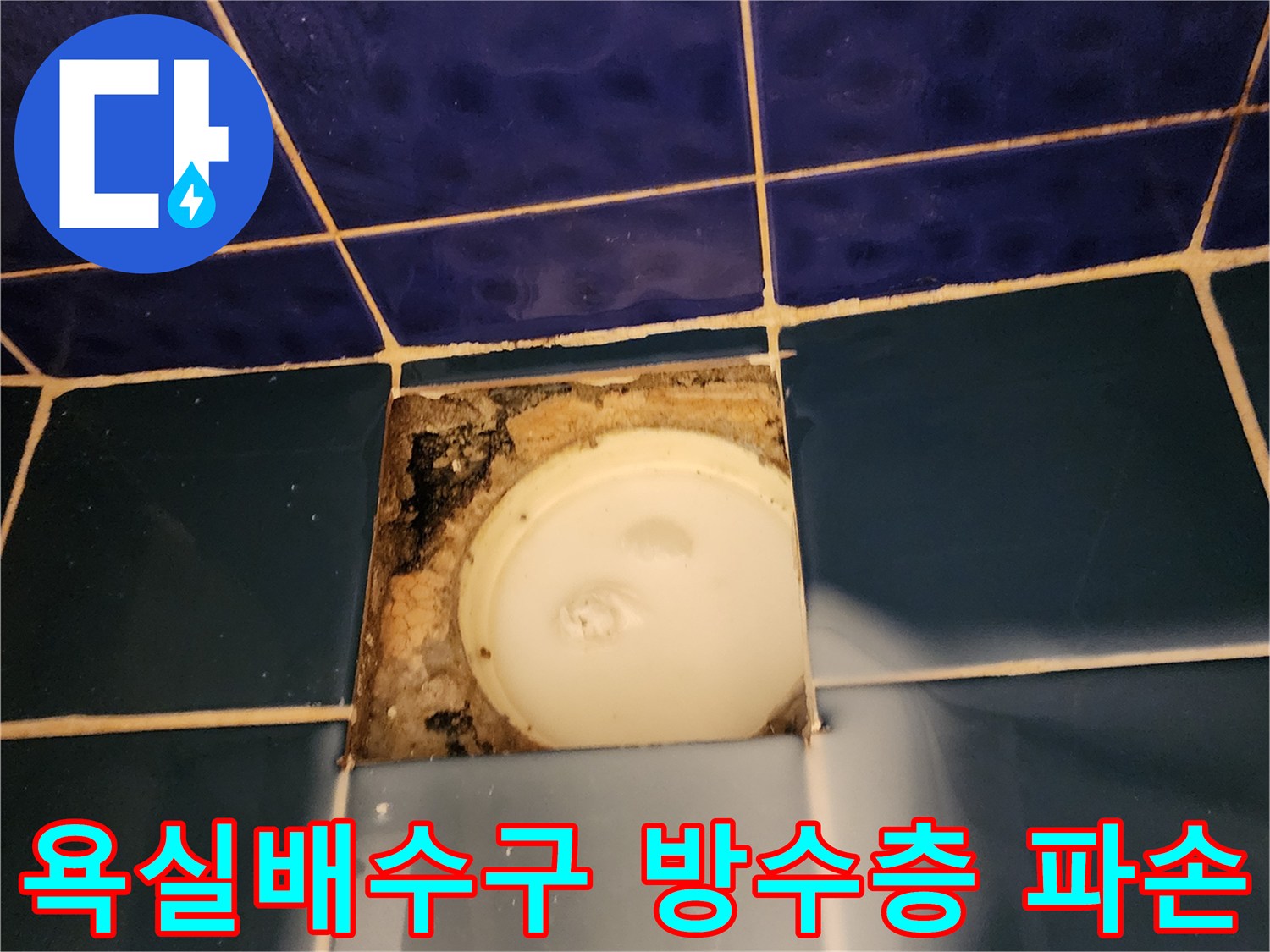 포천 소흘읍 욕실-배수구 주변 타일 균열과 곰팡이 상태