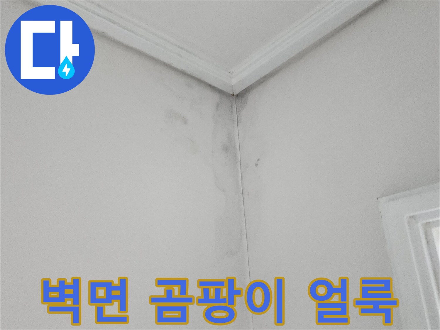 포천 소흘읍 현장-벽지 상단에 발생한 곰팡이와 물자국