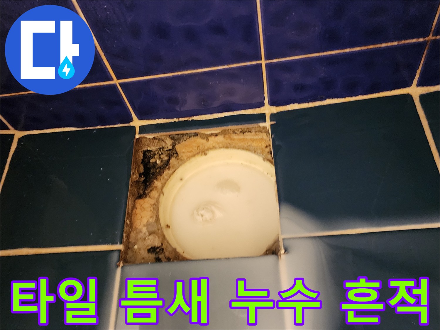 푸른색 타일과-배수구 주변의 부식된 마감재 상태