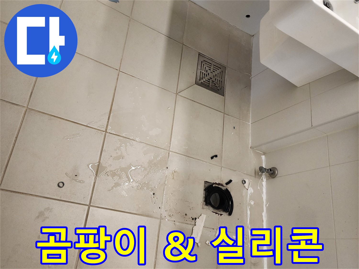 김포 사우동 욕실 - 곰팡이 문제, 실리콘 재시공으로 해결!