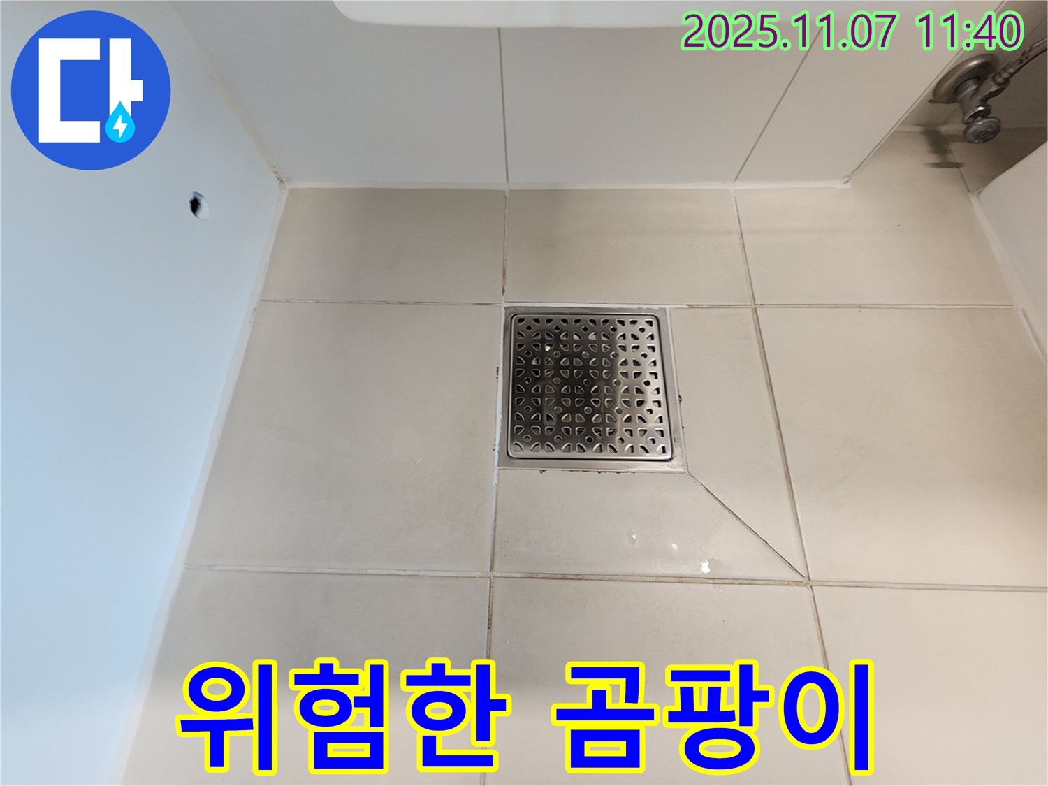 욕실 배수구 주변 - 타일 틈새 곰팡이, 어떤 곰팡이가 가장 위험할까요? - 건강에 해로운 곰팡이를 주의하세요.
