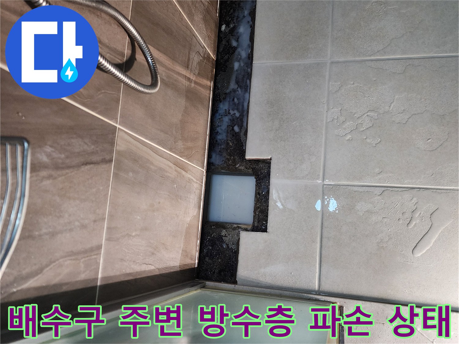 의정부 신곡동 현장의-샤워실 배수구 주변 타일 틈새와 방수층 균열 모습