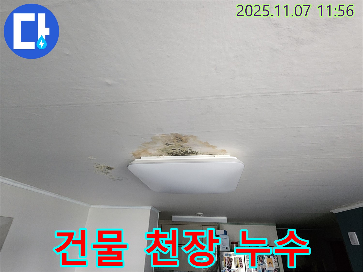 건물 천장 누수 완벽 차단 - 전문 장비와 기술력으로 해결
