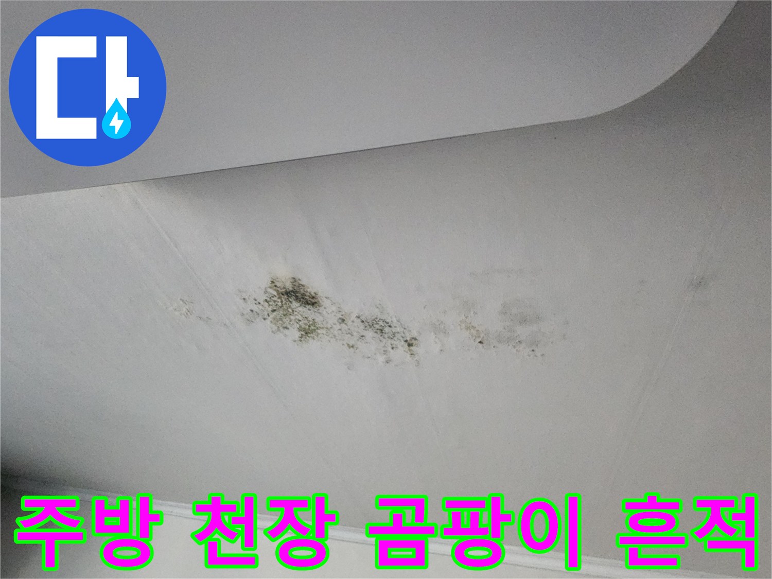 의정부 송산동 주방 천장 벽면에 발생한 검은색 곰팡이와 변색된 얼룩 상태