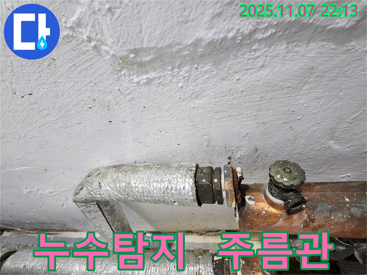 신월동 주택 누수탐지 - 전문 장비와 기술력으로 주름관 누수를 정확하게 찾아 해결했습니다.