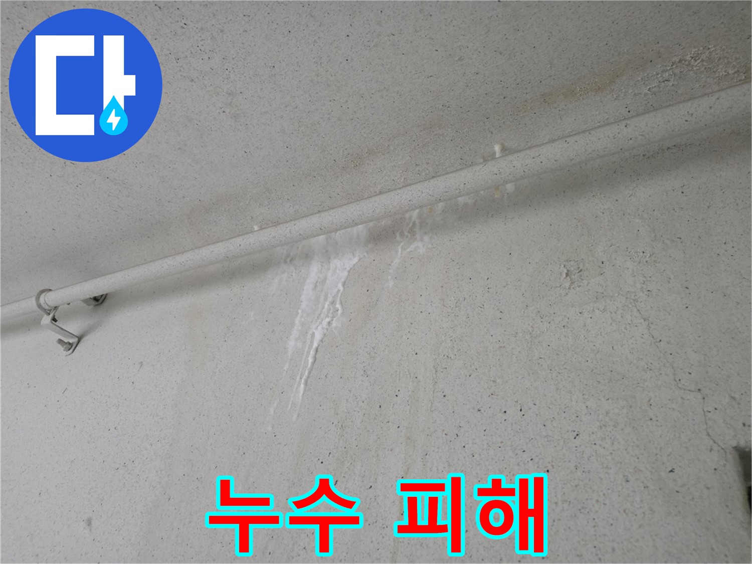 누수로 인한 곰팡이와 벽지 젖음 - 안양 초원맨션 누수 복구
