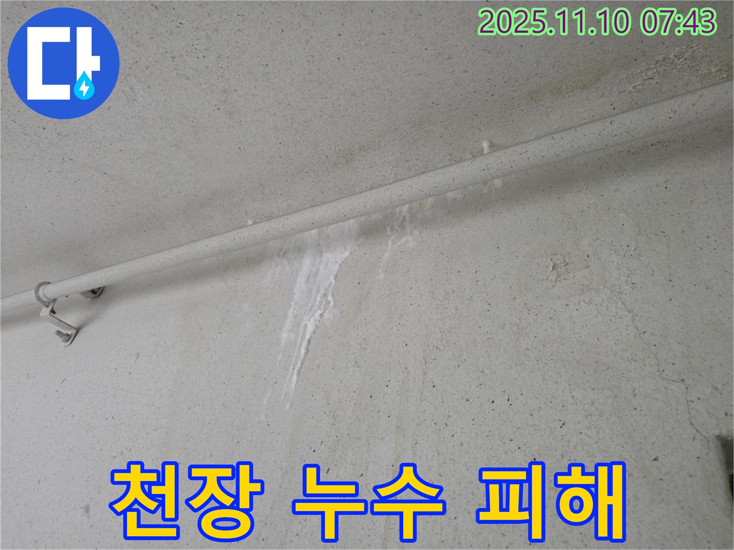천장 누수 피해 - 안양 만안구 초원맨션에서 발생한 누수로 인해 천장에 물이 떨어지고 있습니다. 누수탐지 전문가가 원인을 찾고 있습니다.