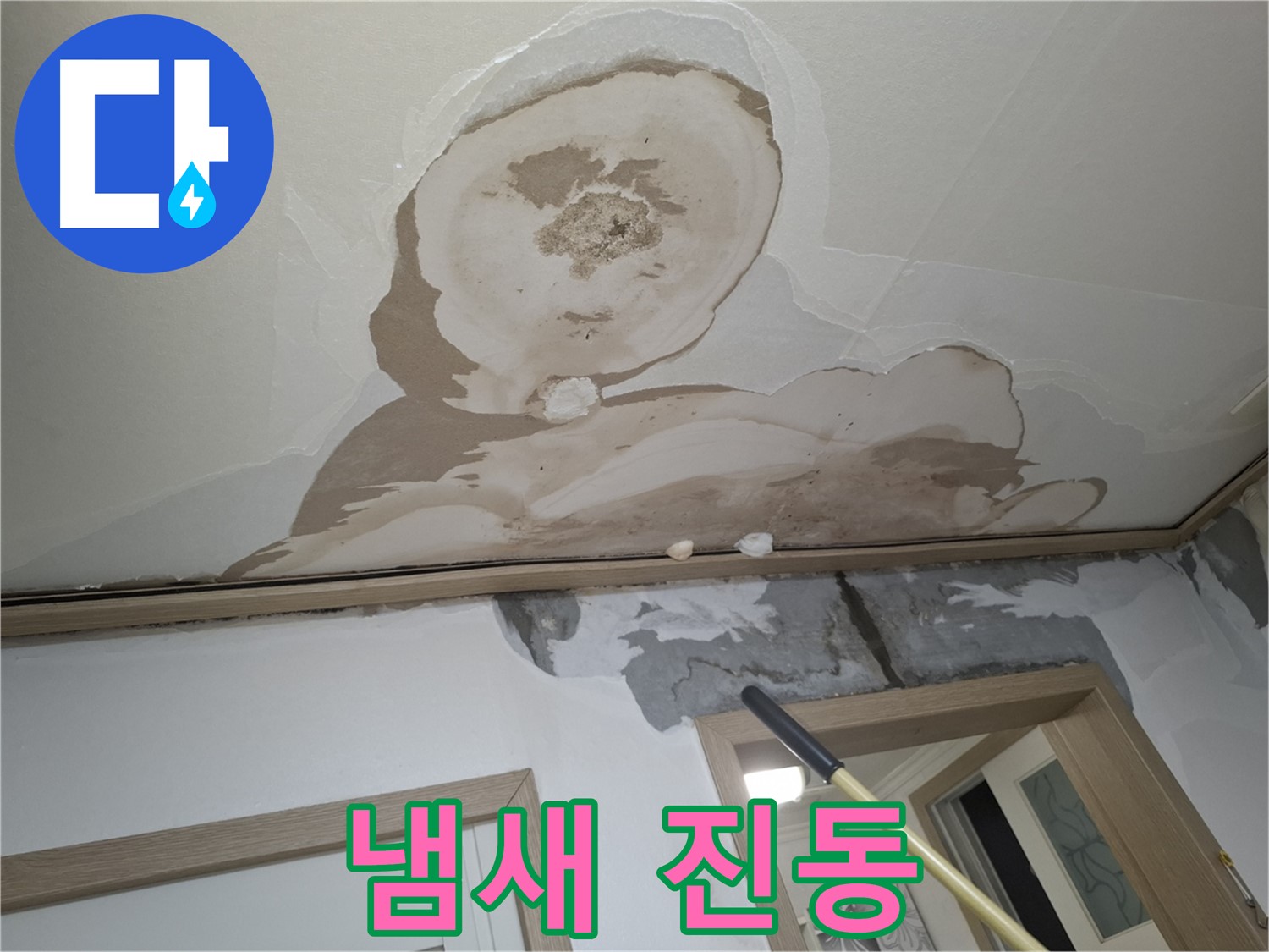 곰팡이 냄새 진동 - 쾌적한 우리 집, 되찾아 드려요!