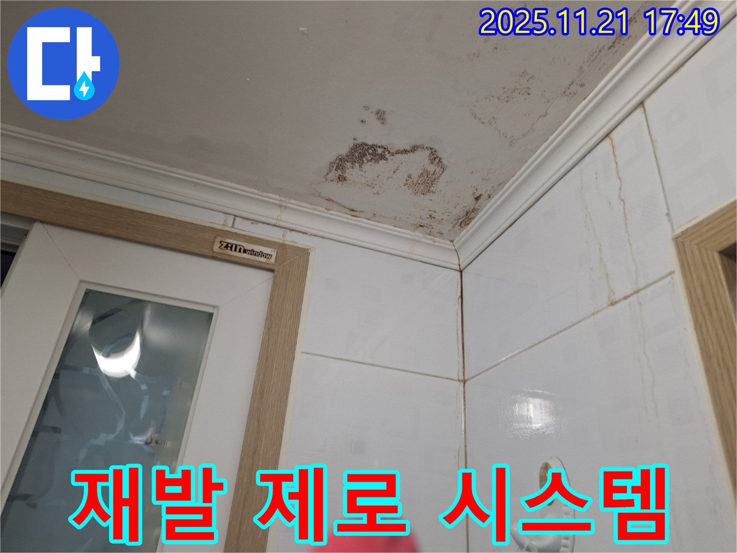 곰팡이 재발 제로 - 곰팡이 완벽 차단 시스템으로 재발 걱정 없이!