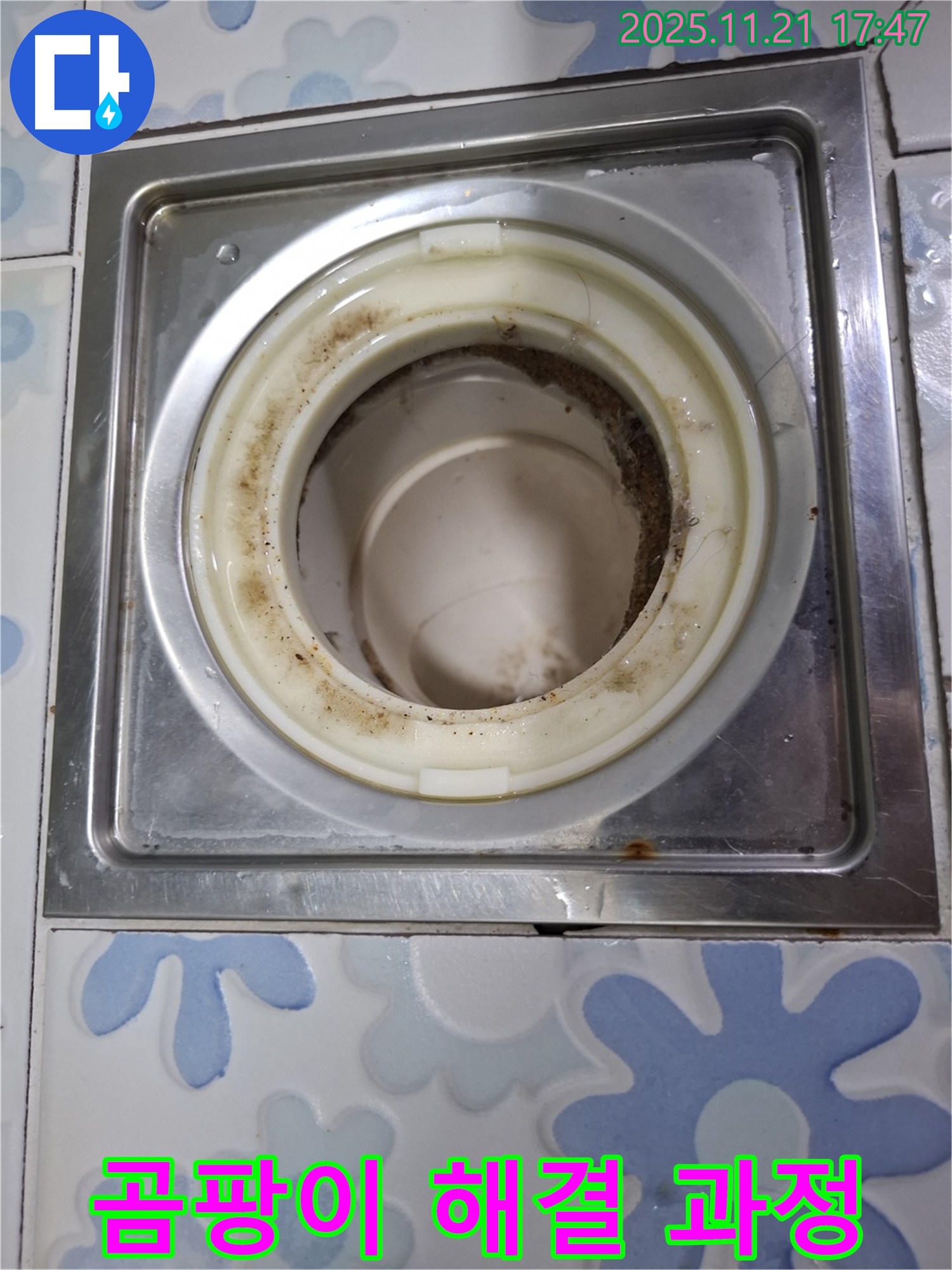 관악구 신림동 배수구 - 곰팡이 해결을 위한 배수구 청소 과정