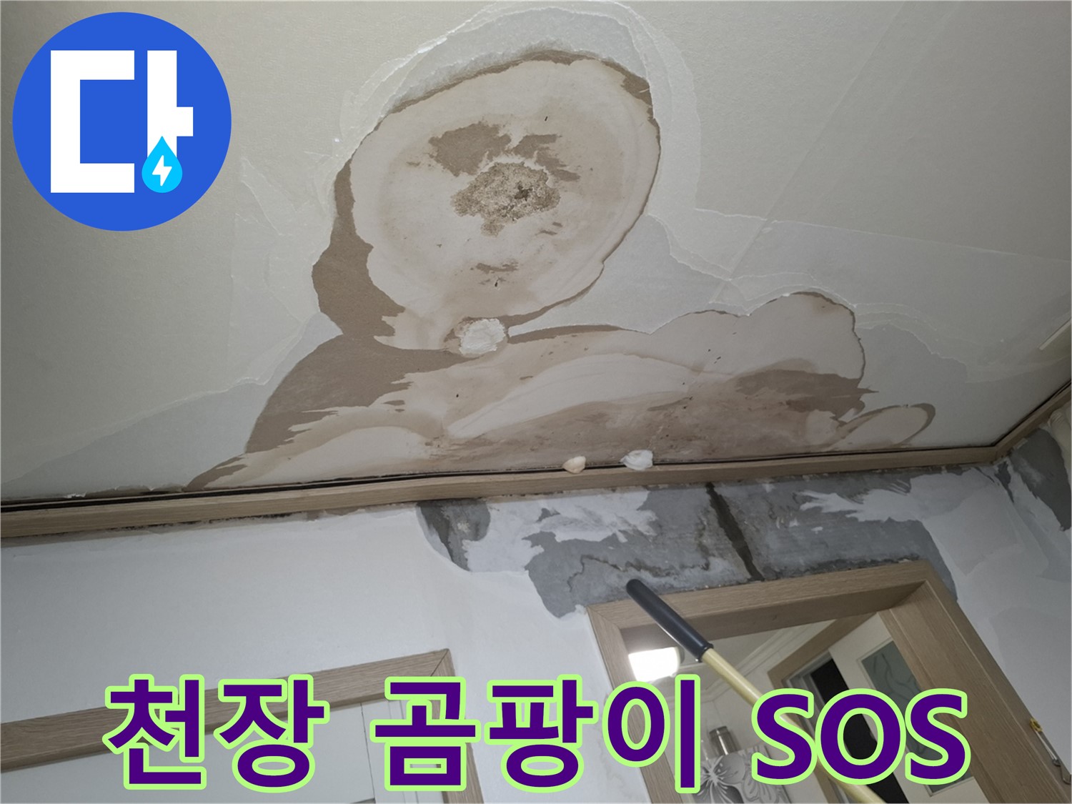 낡은 천장 - 곰팡이와 젖은 석고보드의 콜라보 - 긴급 SOS 상황입니다.
