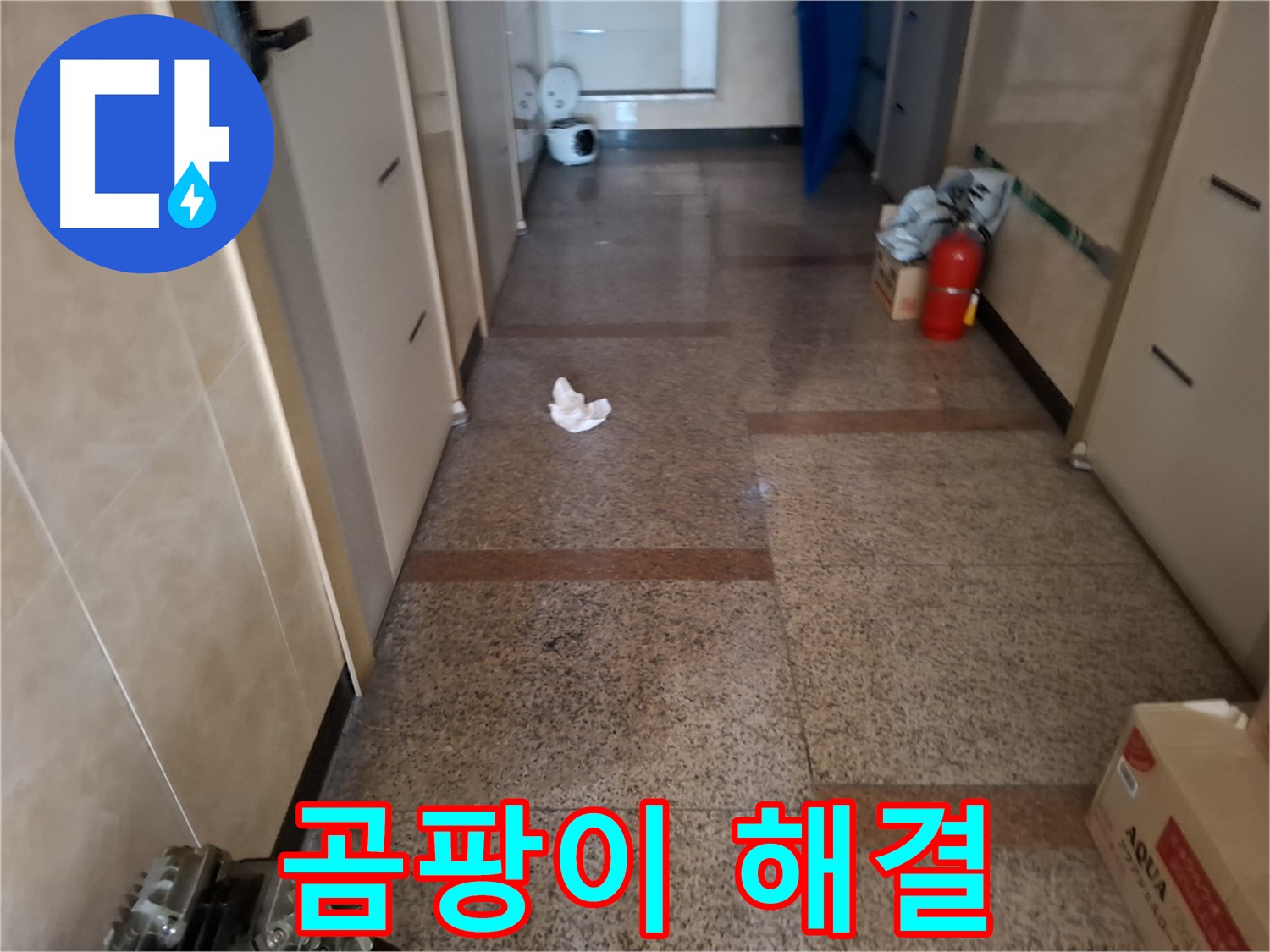 복도 곰팡이 해결 - 신속 진단 - 신림동 누수 전문