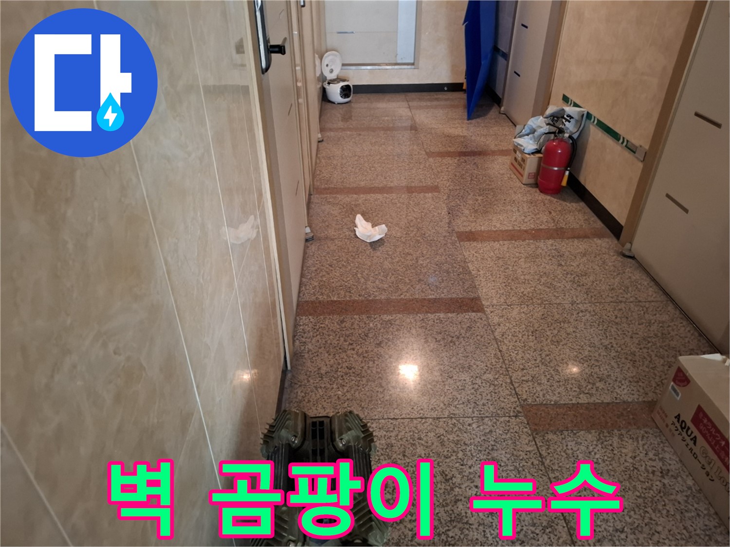 복도 벽 모서리에 곰팡이가 생겼어요 - 설마 누수 때문?!