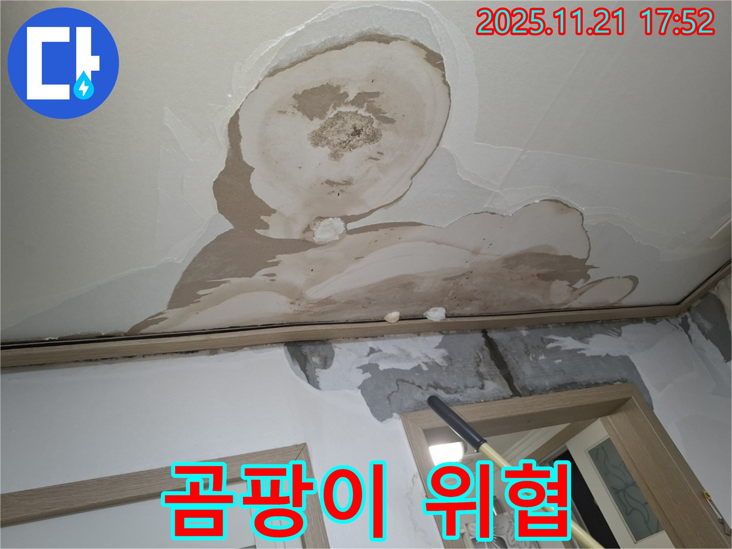 신림 메가캐슬 아파트 천장 누수 - 곰팡이가 발생한 천장과 건강에 미치는 악영향