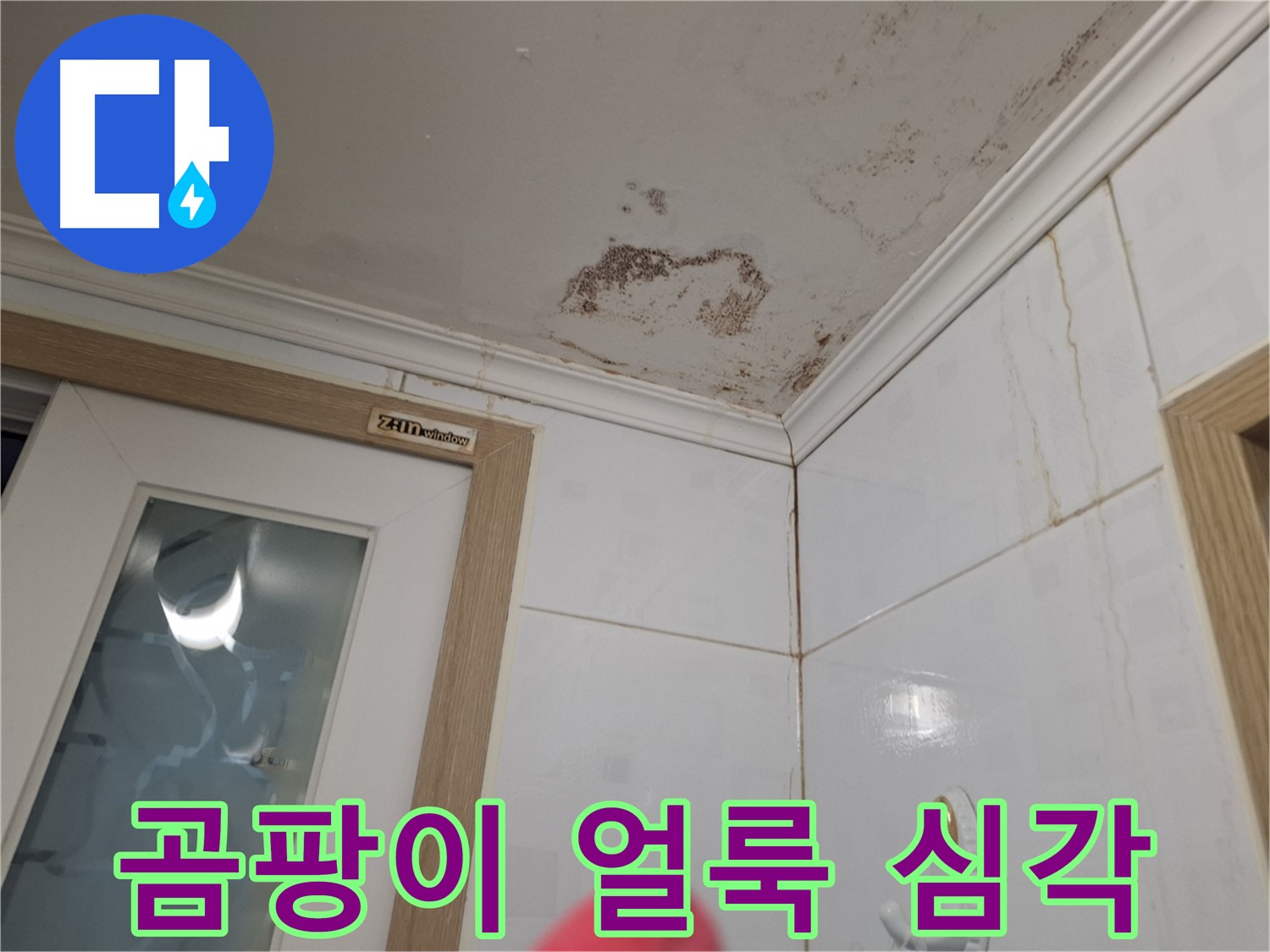 심각한 곰팡이 얼룩 - 천장 누수 - 건강 위협