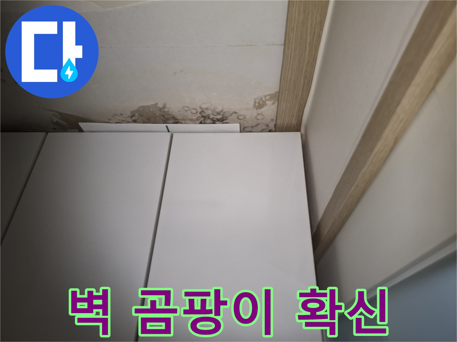 장롱 뒤 벽에 곰팡이가 심하게 핀 모습 - 천장 누수를 100% 확신할 수 있습니다.