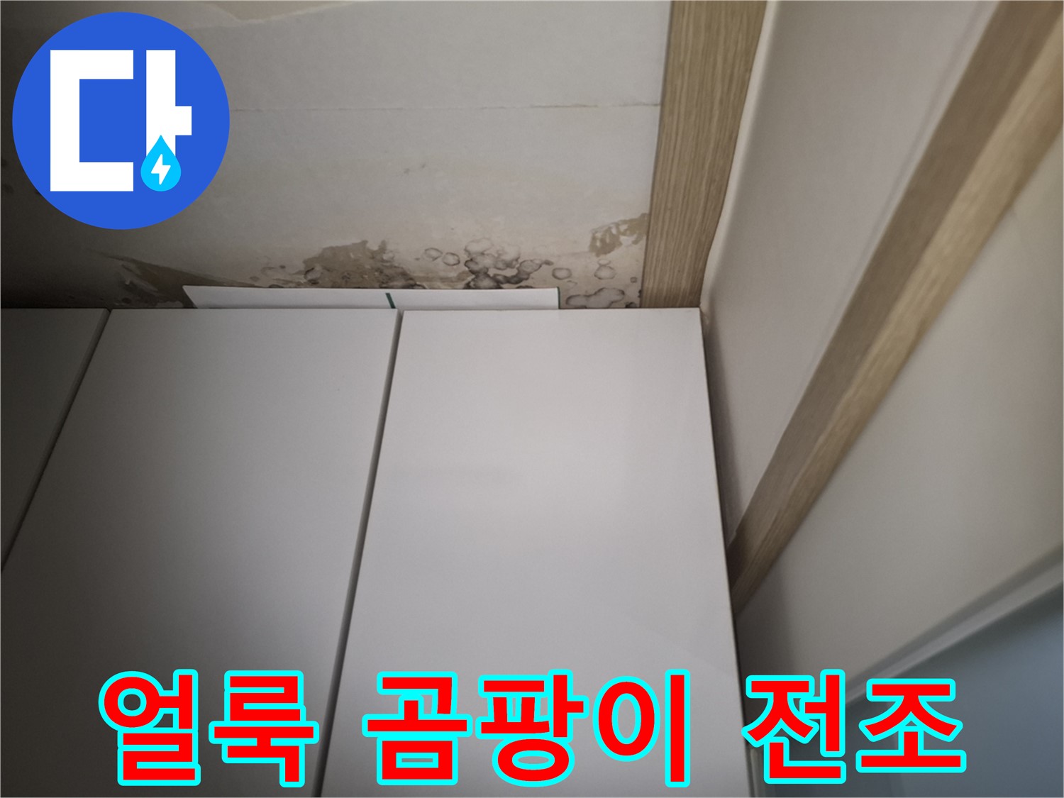 장롱 위 천장에 생긴 얼룩 - 곰팡이 습격의 전조 증상일 수 있습니다.