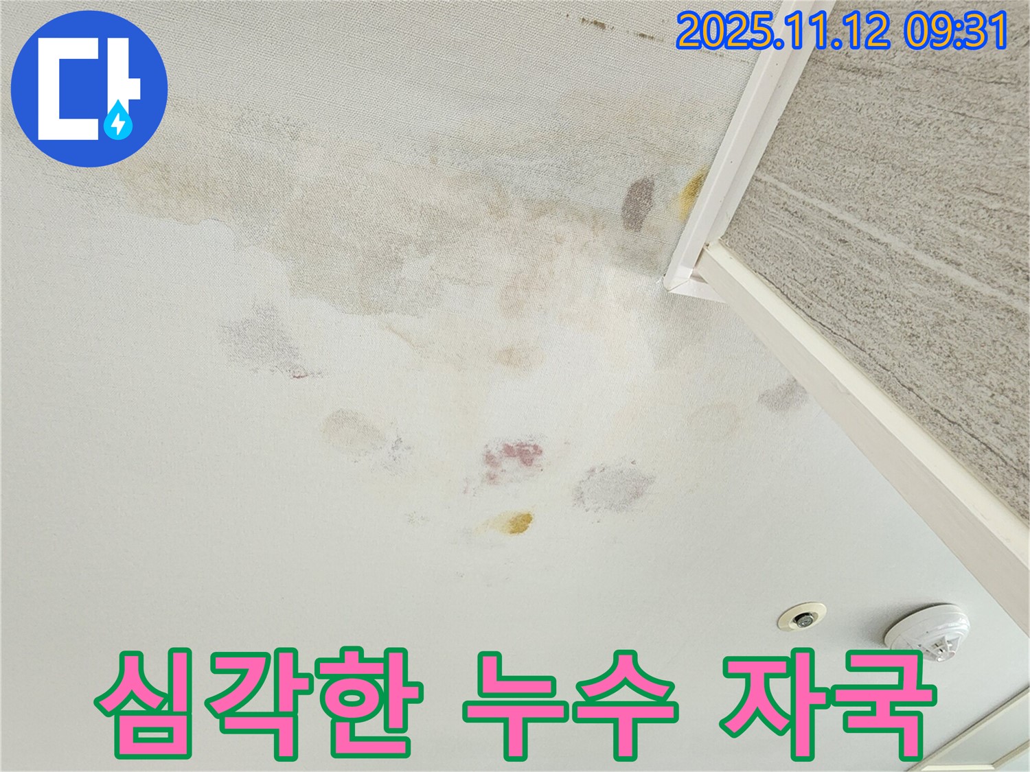 경기도 포천시 소흘읍 무봉리 천장 누수 - 심각한 누수 자국과 변색