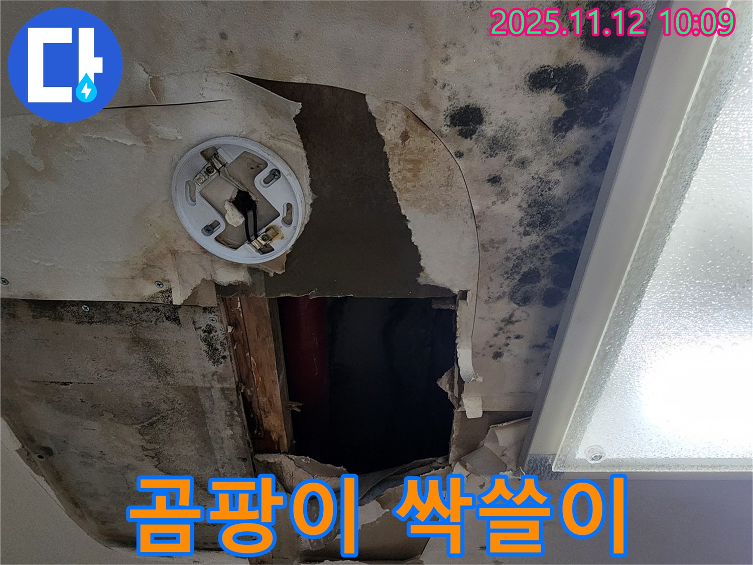 곰팡이 제거 시공 - 친환경 약품으로 곰팡이 완벽 제거 및 방지