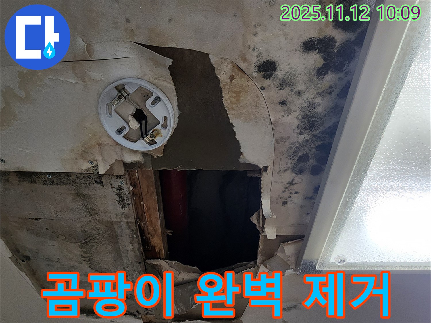 곰팡이 제거 시공 - 친환경 약품으로 곰팡이 완벽 제거 및 방지