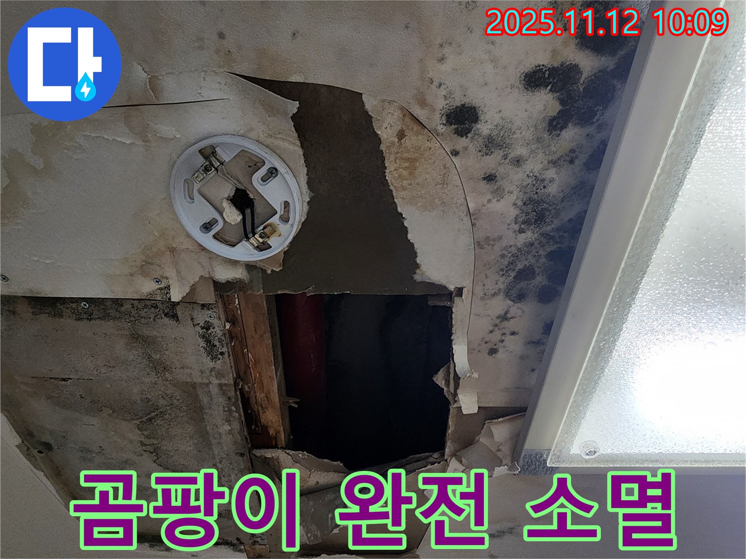 곰팡이 제거 시공 - 친환경 약품으로 곰팡이 완전 제거 및 방지