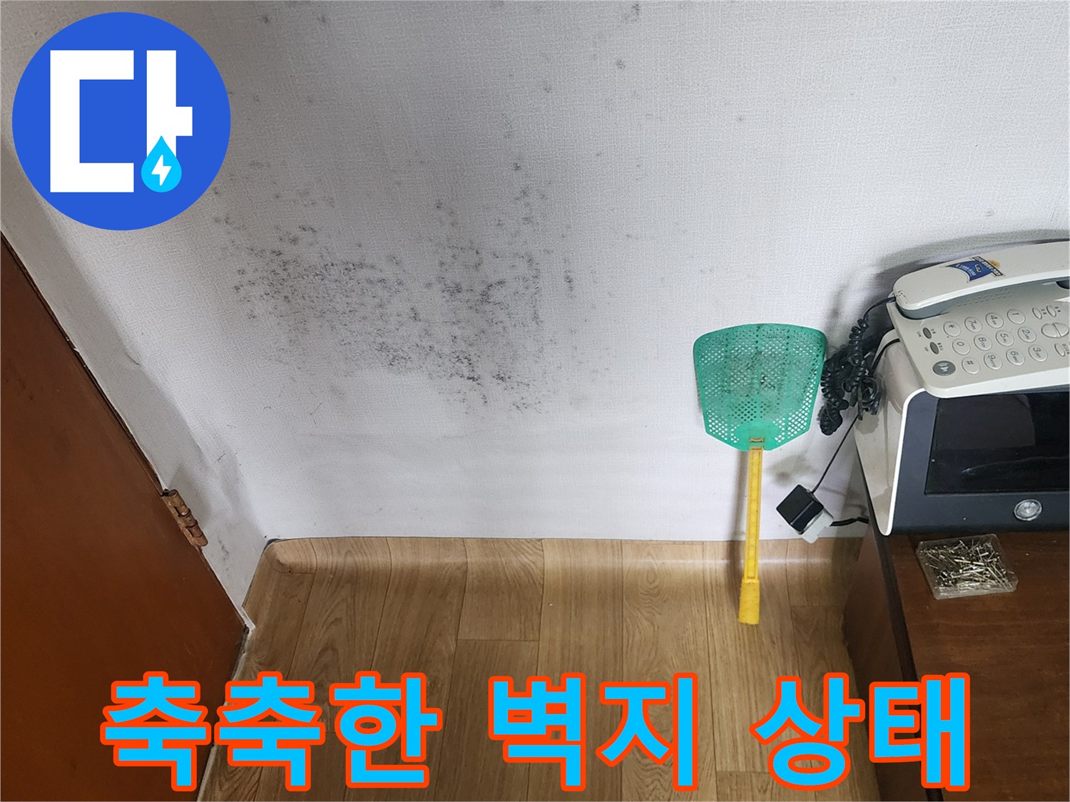 곰팡이와 물자국으로 오염된 아파트 내부 벽면 모습