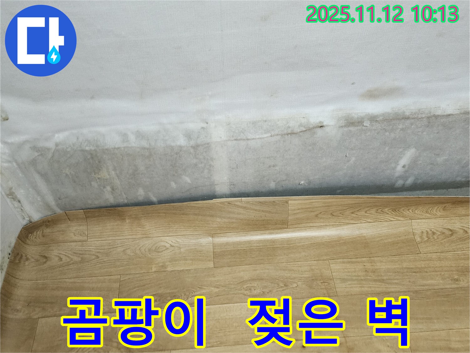 무봉리 누수 현장 - 곰팡이 냄새와 젖은 벽은 누수 초기 증상일 수 있습니다 - 전문가의 진단이 필요합니다.