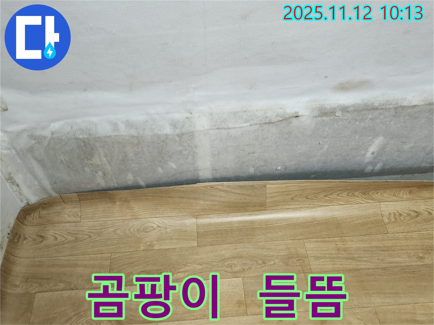 무봉리 누수 현장 - 곰팡이 핀 벽과 들뜬 장판, 누수 초기 대응이 중요합니다 - 서둘러 점검하세요.