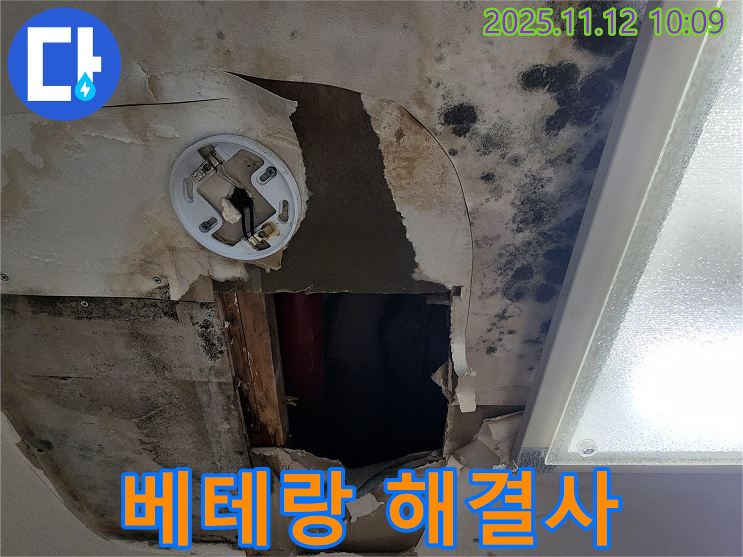베테랑 기술 노하우 - 곰팡이 천장 누수 완벽 해결
