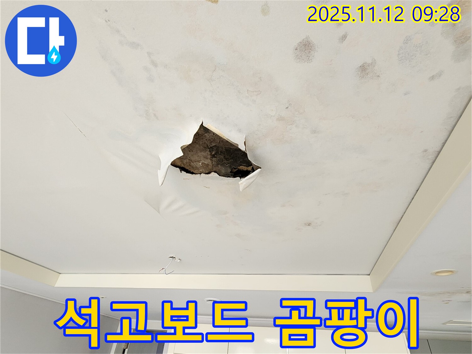 석고보드 곰팡이 - 누수로 인해 석고보드에 곰팡이가 핀 모습입니다.