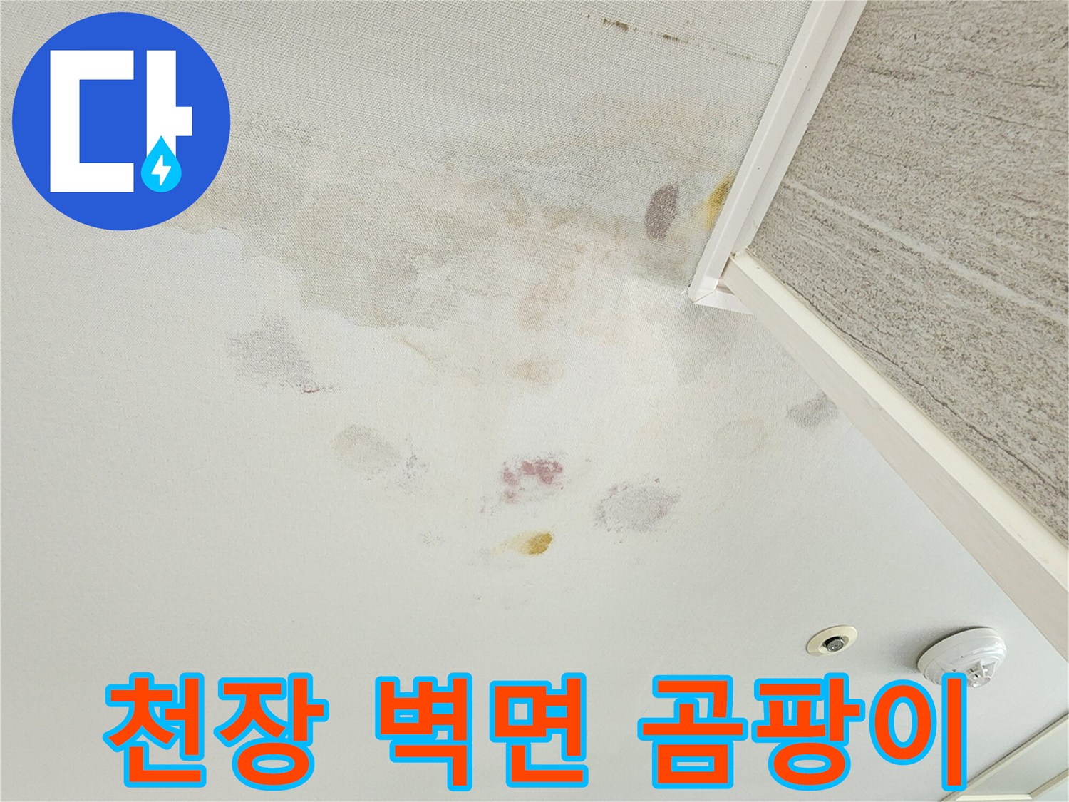 습기로 인해 곰팡이가 발생한 천장과 벽면 부위