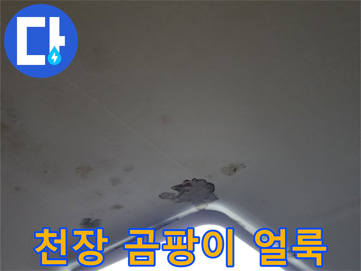아파트 거실 천장 조명 주변의 곰팡이와 물자국 현황