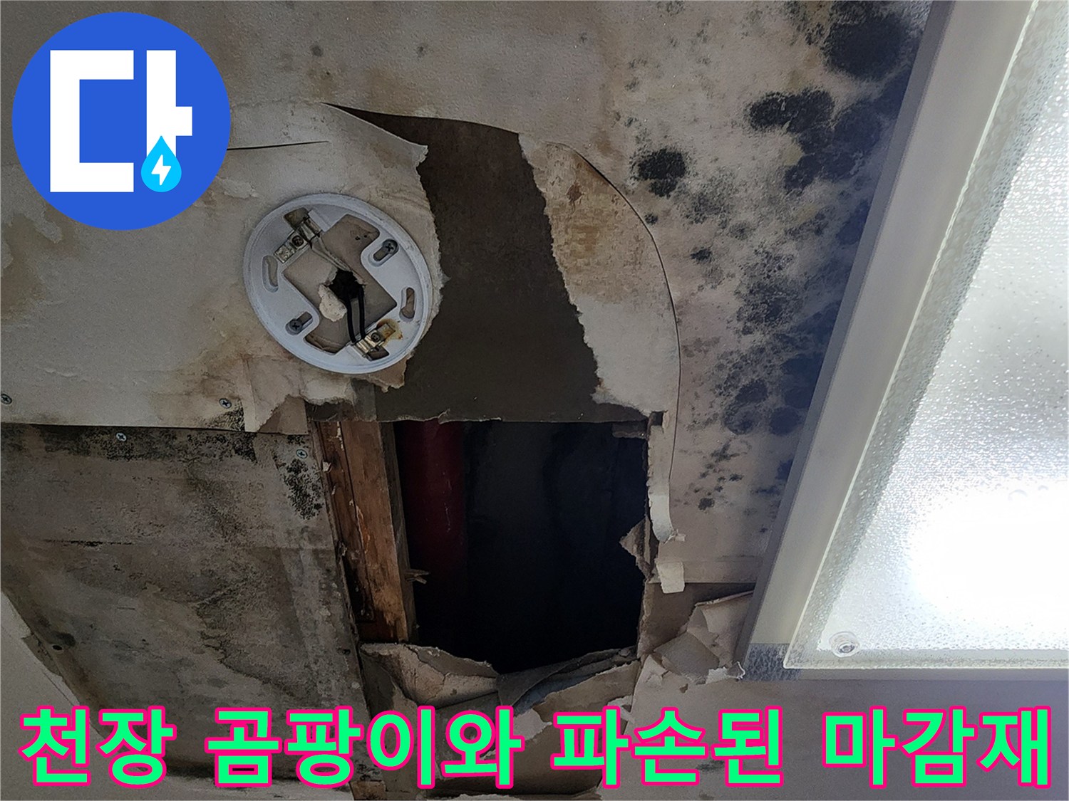 아파트 천장 내부의 곰팡이 흔적과 파손된 석고보드 상태를 보여주는 사진입니다.