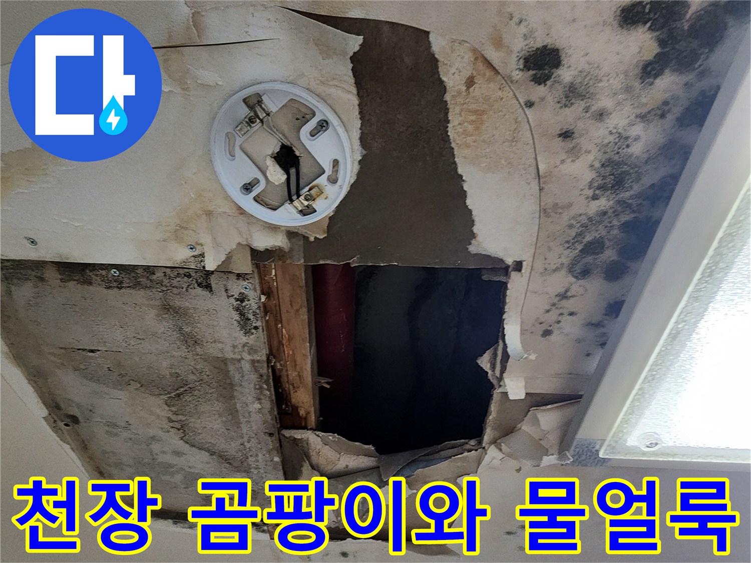 아파트 천장에 발생한 검은 곰팡이와 누수 흔적