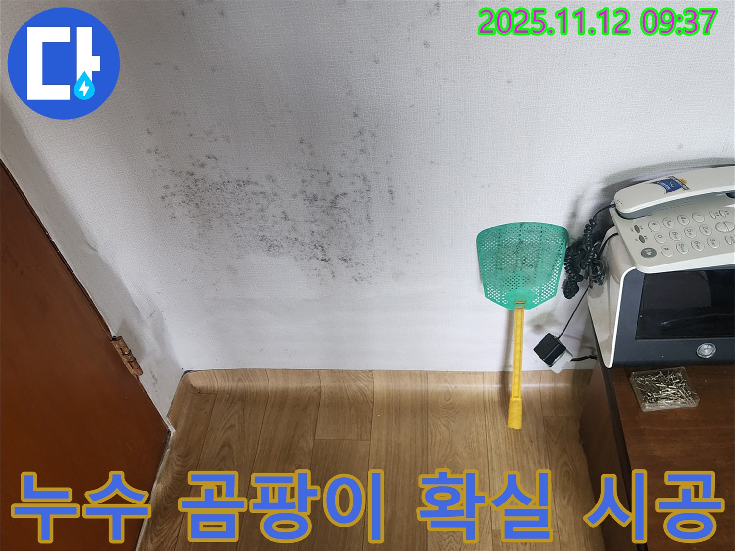 주택 벽 곰팡이 - 누수탐지로 곰팡이 문제를 해결하고 쾌적한 환경으로!