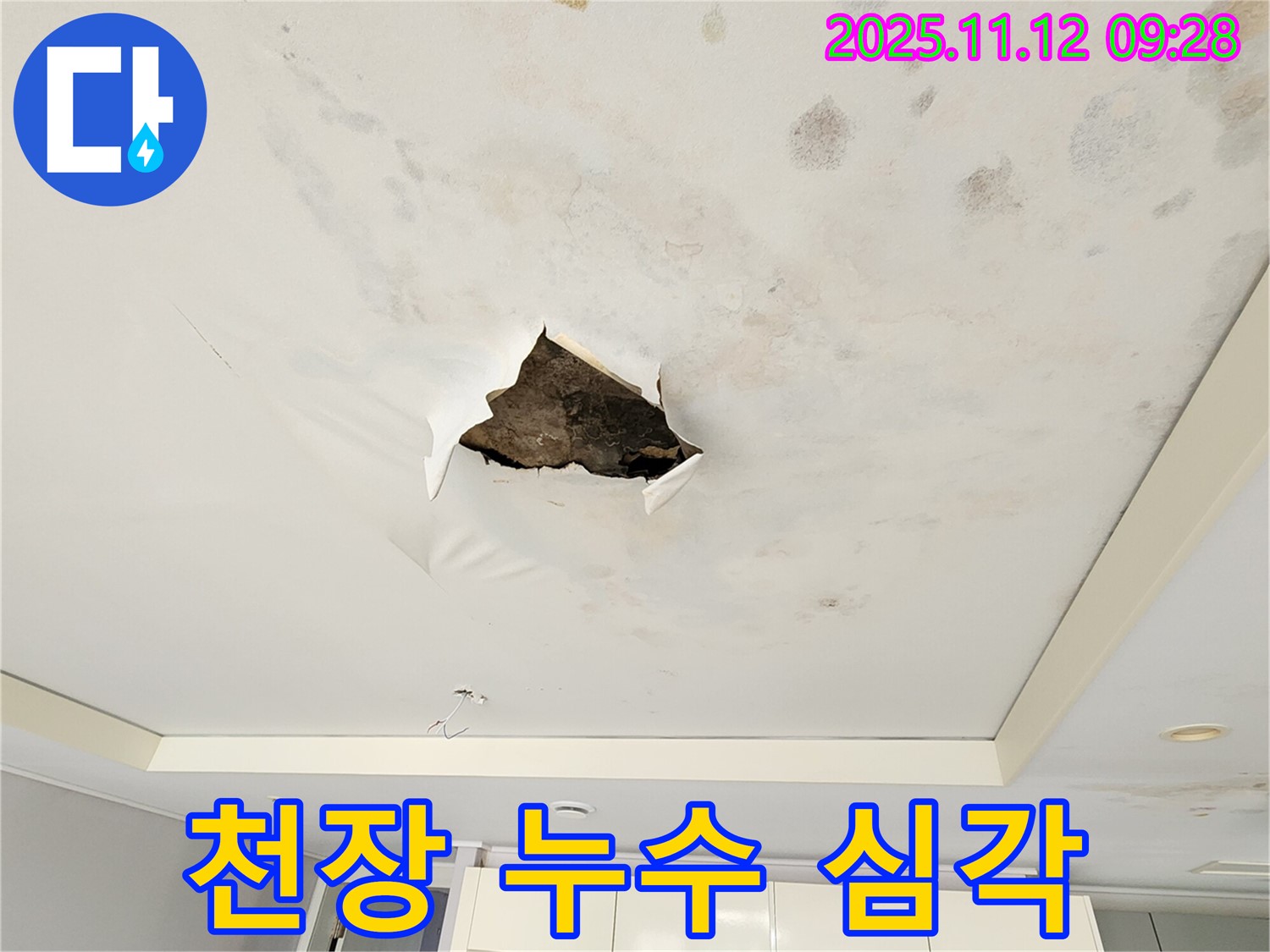천장 누수 심각 - 석고보드 천장 전체가 젖어 곰팡이가 심하게 핀 끔찍한 누수 피해 사진입니다.