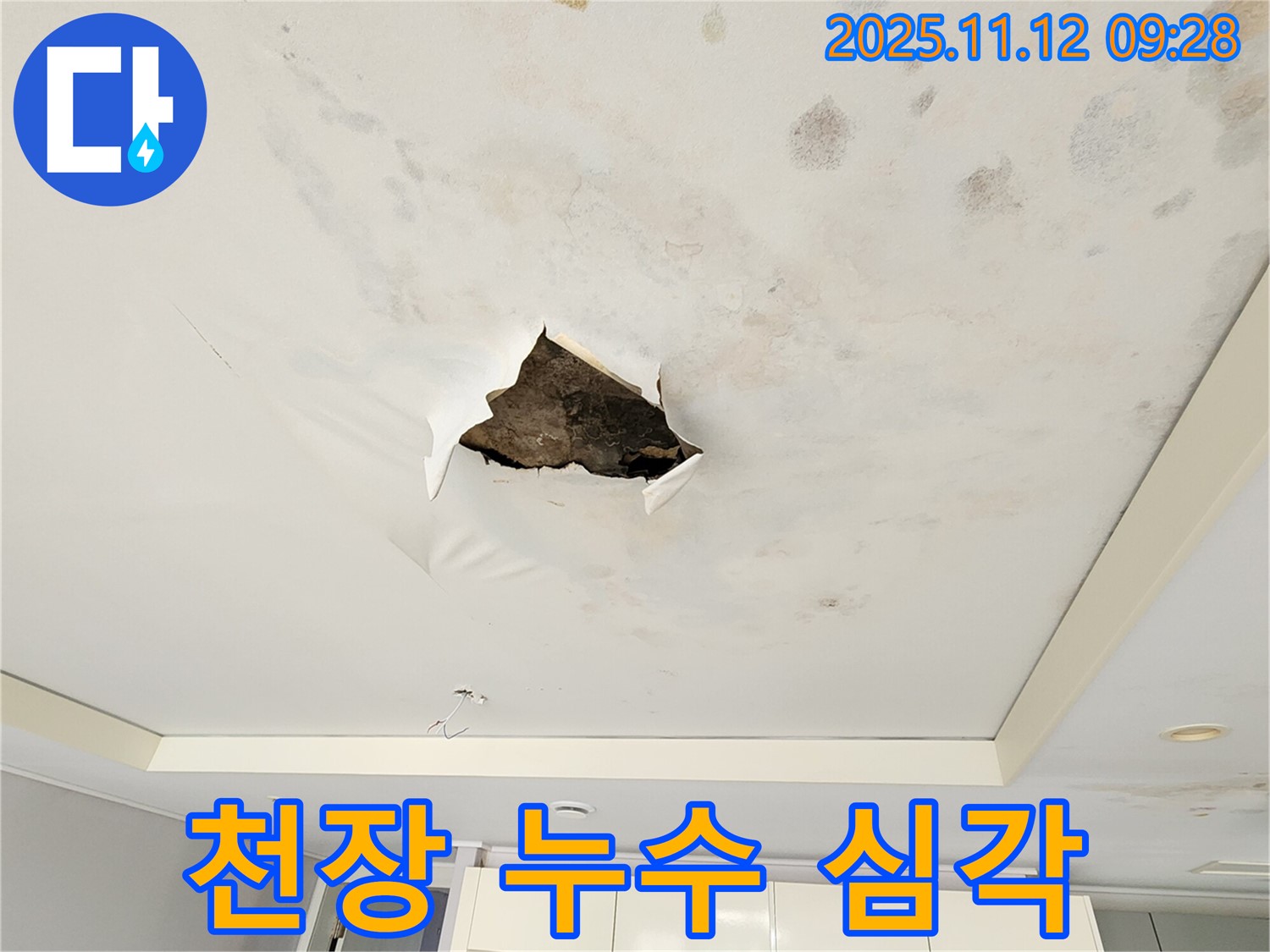 천장 누수 심각 - 텍스 천장 전체에 물이 스며들어 눅눅해진 상태를 보여주는 사진입니다.
