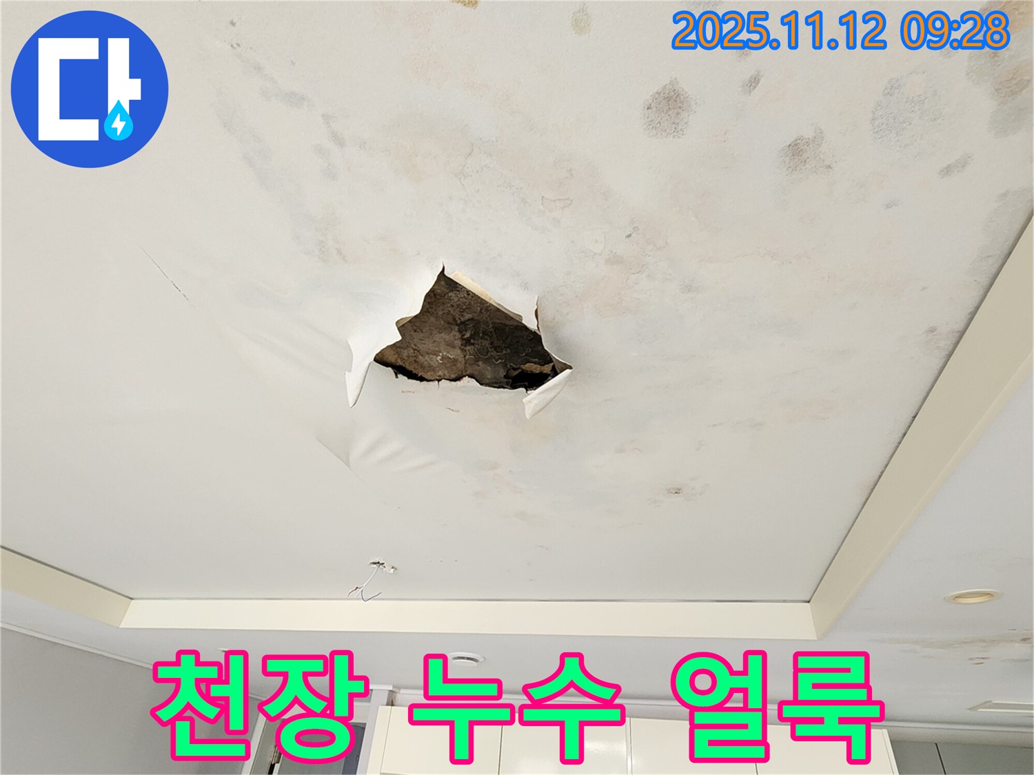 천장 누수 얼룩 - 찢어진 천장 주변에 물이 스며들어 생긴 곰팡이와 함께 얼룩덜룩한 누수 자국을 보여주는 사진입니다.