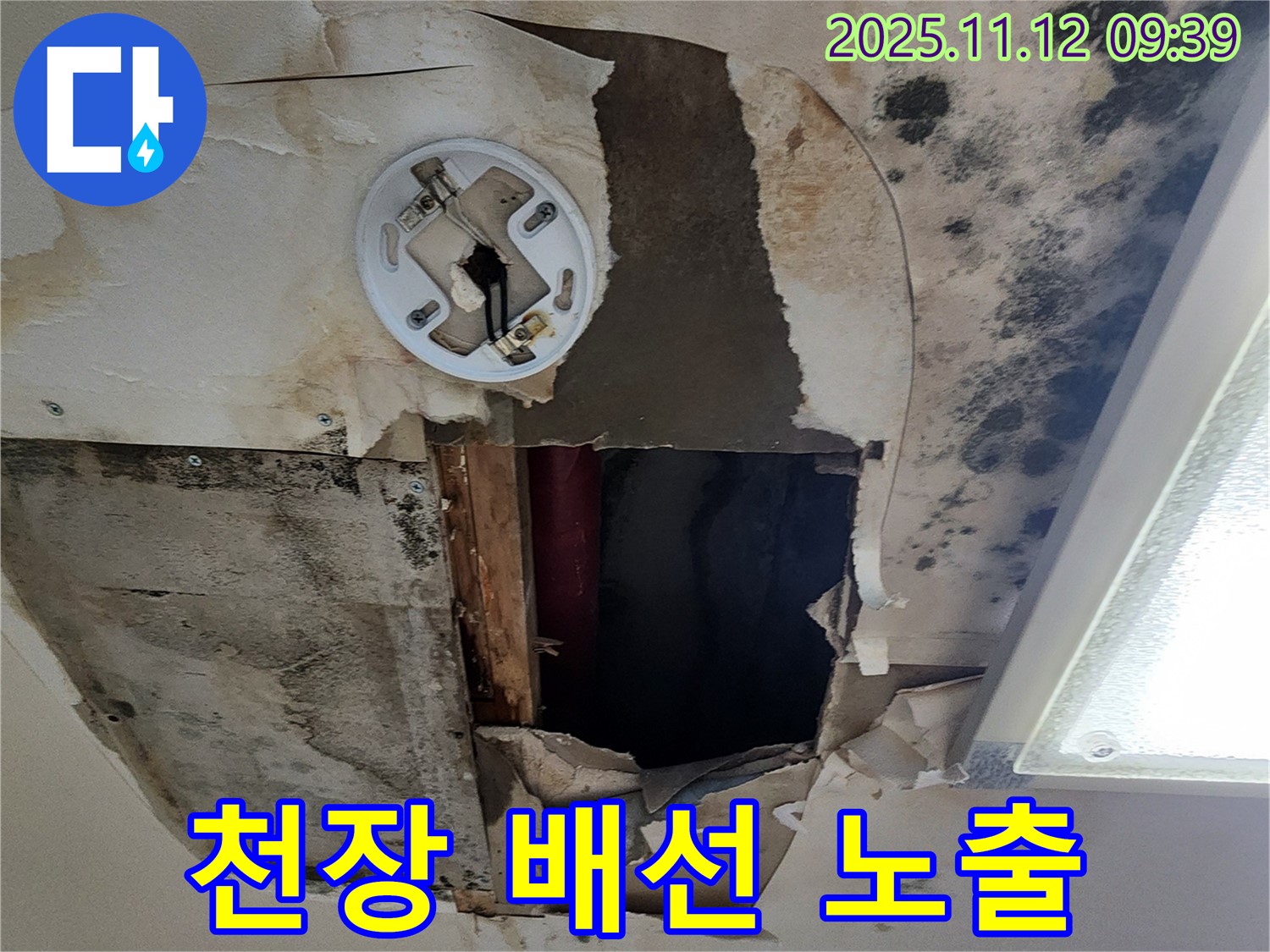 천장 배선 노출 - 누수로 인한 전기 누전 위험, 안전 점검 및 보수 필요