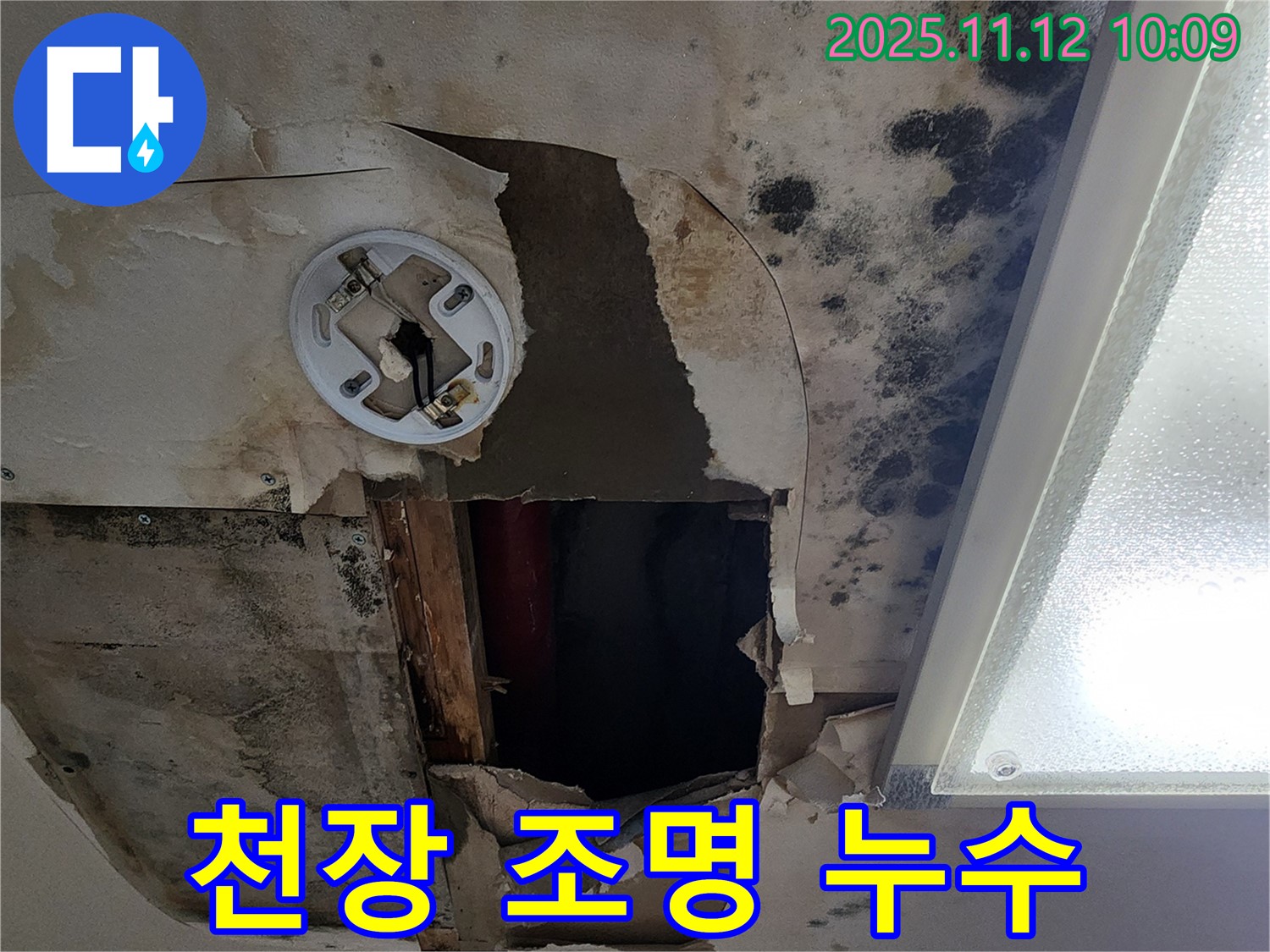 천장 조명 누수 - 천장 조명 주변으로 누수가 발생한 위험한 상황