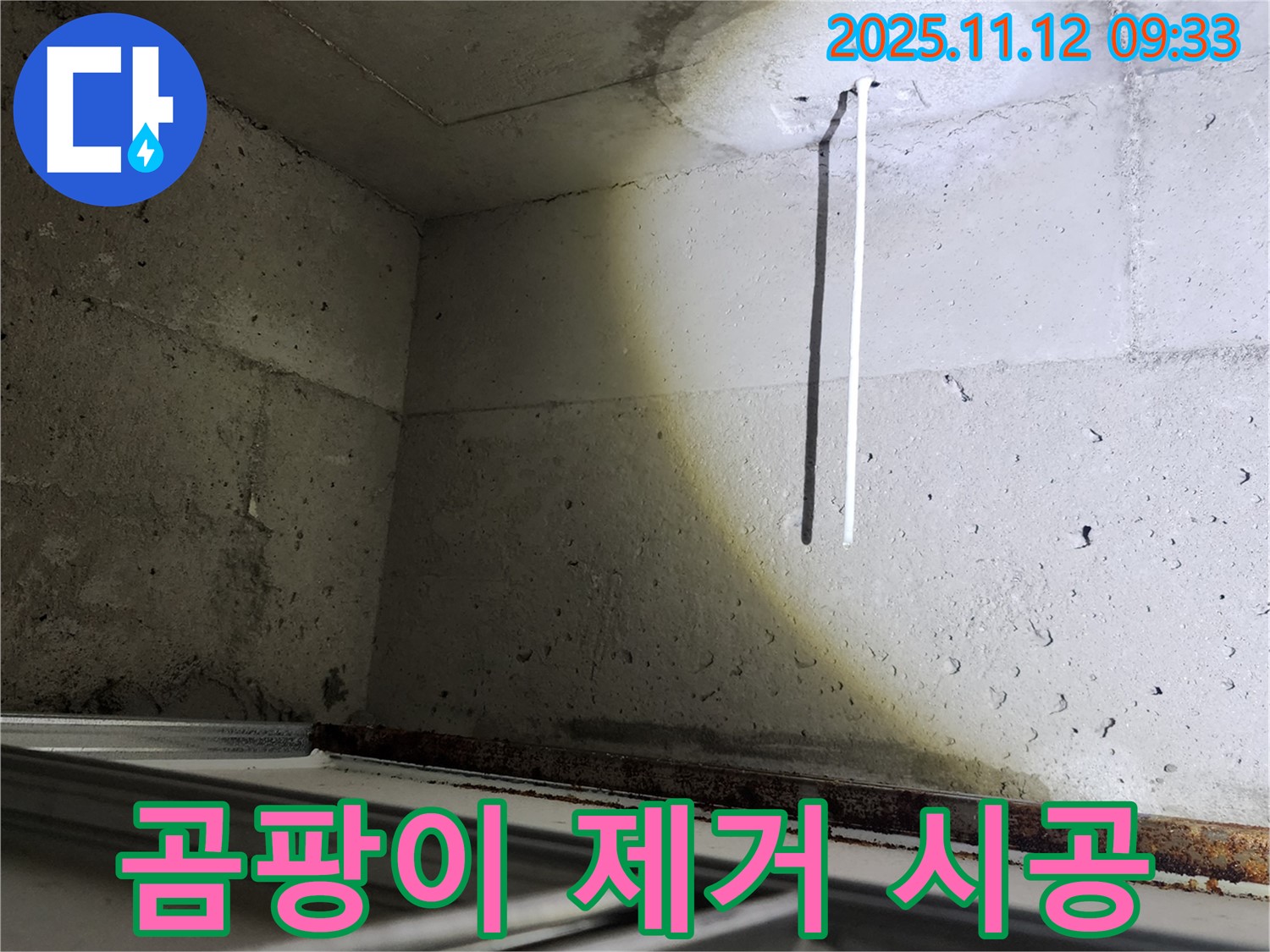 콘크리트 벽 곰팡이 누수 - 포천에서 완벽 제거 시공!