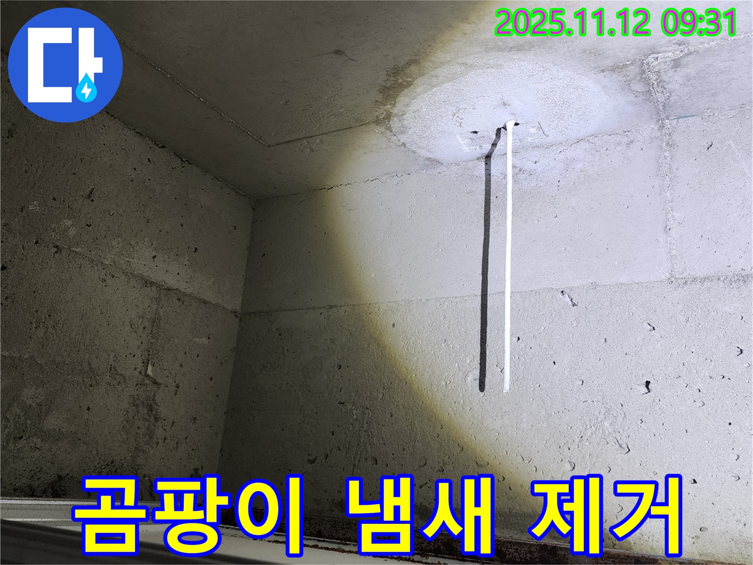 콘크리트 천장 - 곰팡이 냄새 제거 - 쾌적한 환경