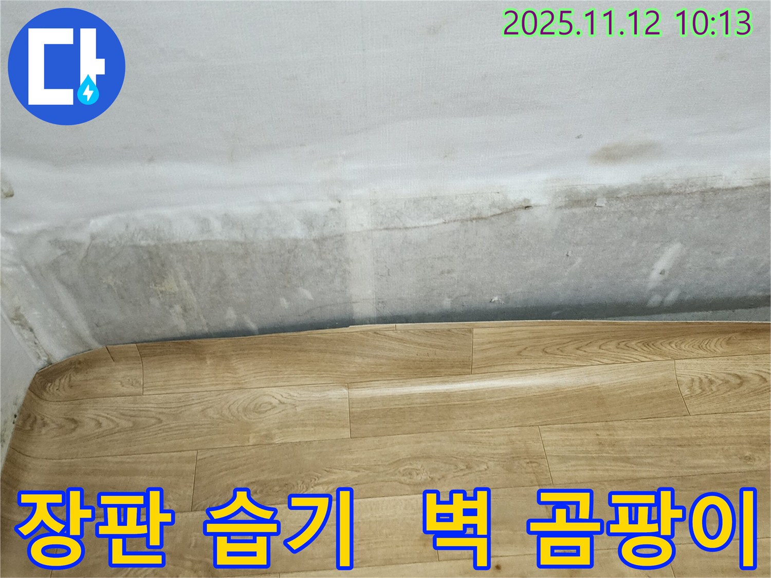 포천 무봉리 누수 현장 - 장판 밑 습기와 벽에 핀 곰팡이는 누수 해결이 필요한 상황임을 나타냅니다.