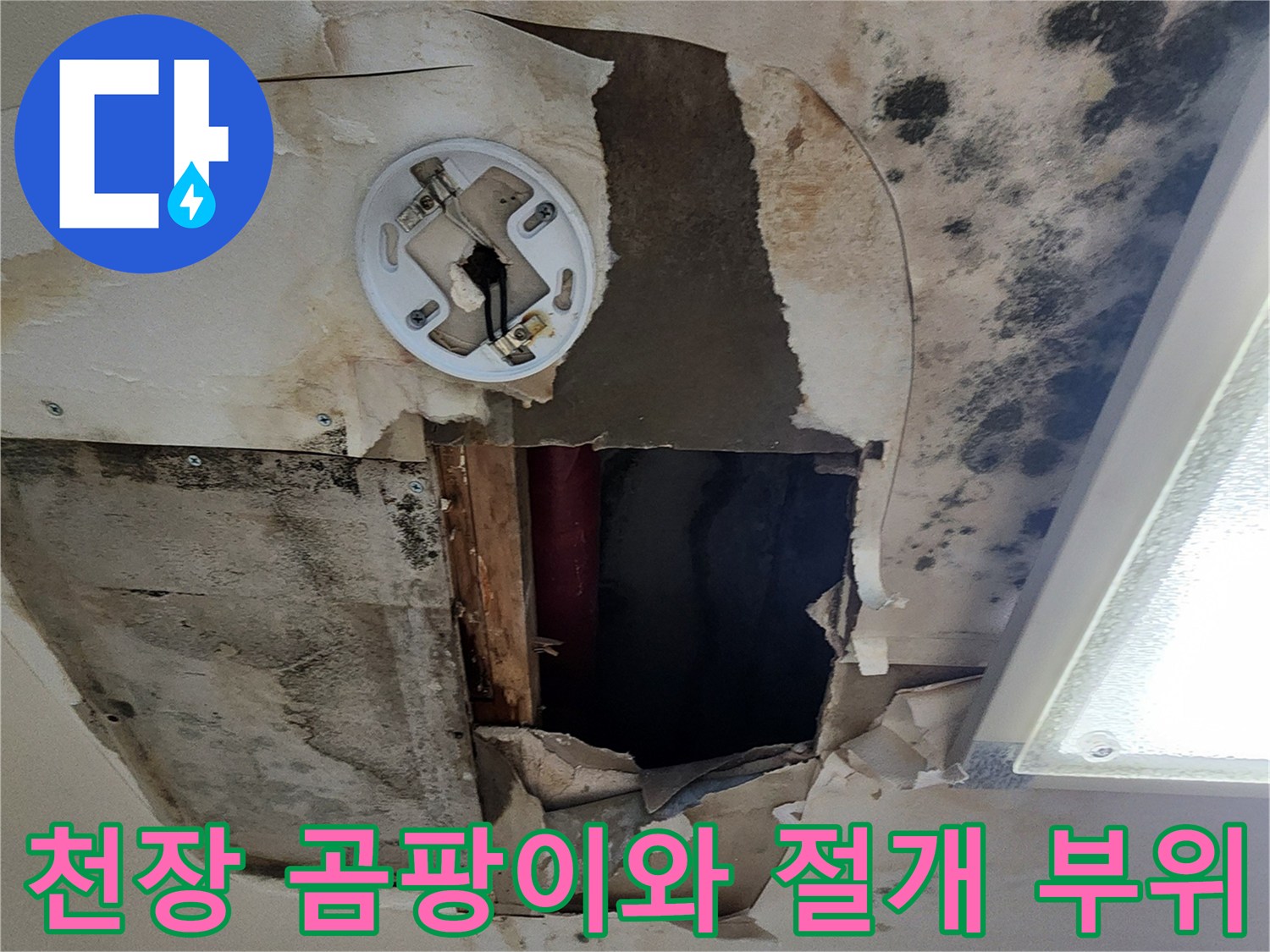 포천 무봉리 아파트 천장-누수로 인한 곰팡이 발생 및 내부 확인을 위한 절개 상태