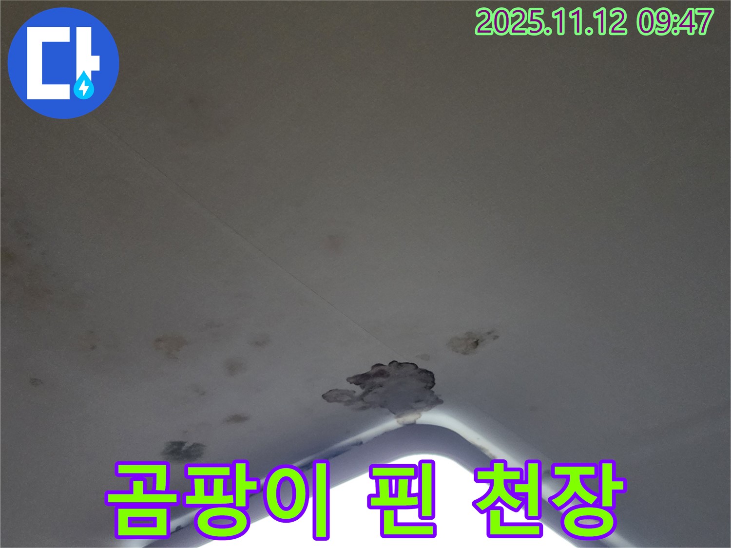 포천 소흘읍 - 곰팡이 핀 천장, 석고보드 교체 및 곰팡이 제거