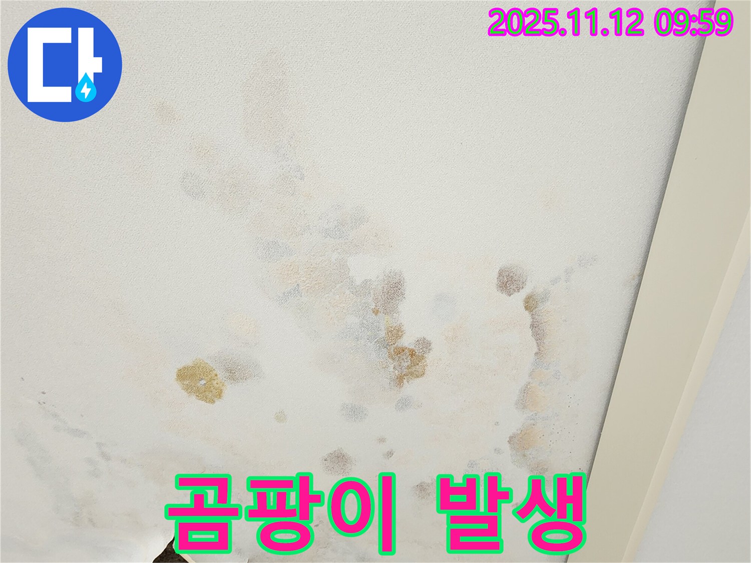 포천 소흘읍 무봉리 누수 현장 - 곰팡이가 발생한 천장