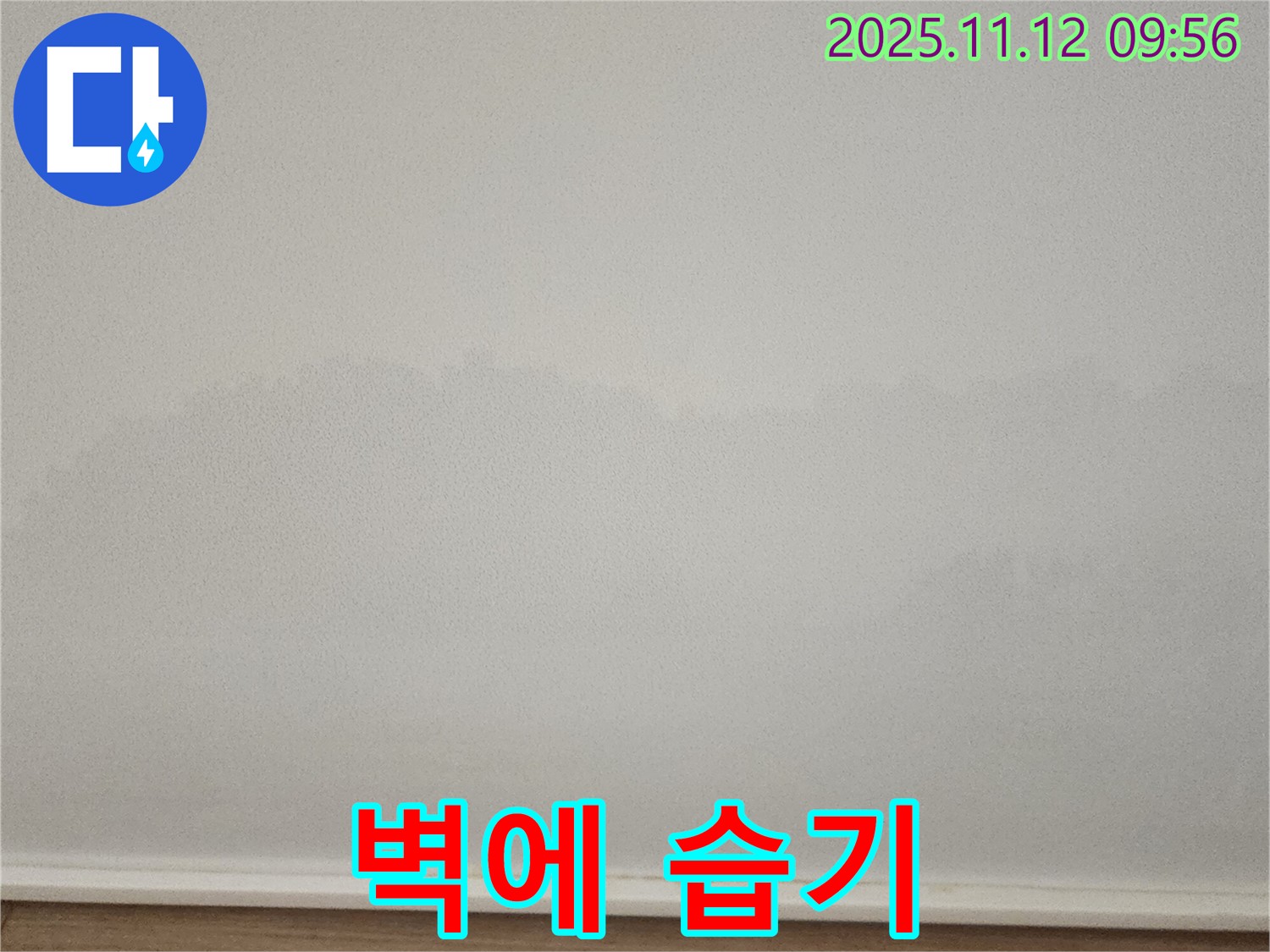 포천 소흘읍 벽 습기 - 누수 초기 증상 진단 - 누수 전문가의 꼼꼼한 점검