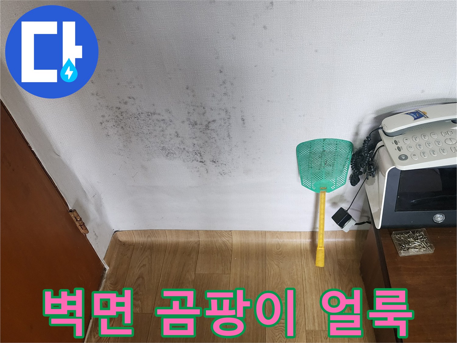 포천 소흘읍 아파트 벽면의 곰팡이와 물 얼룩 상태