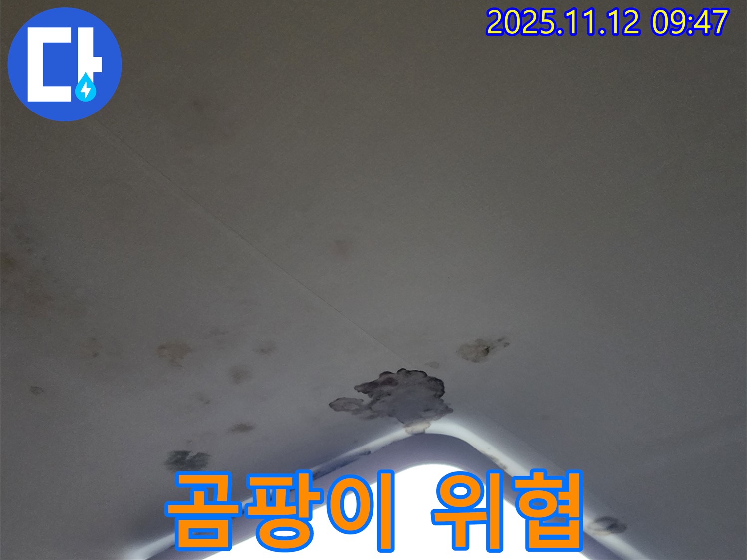 포천 소흘읍 - 천장 누수, 석고보드 손상 및 곰팡이 발생 - 건강 위협