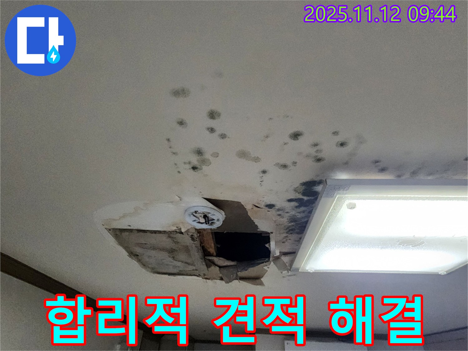 합리적 견적 - 곰팡이 제거 - 확실 시공 - 투명 견적 제공
